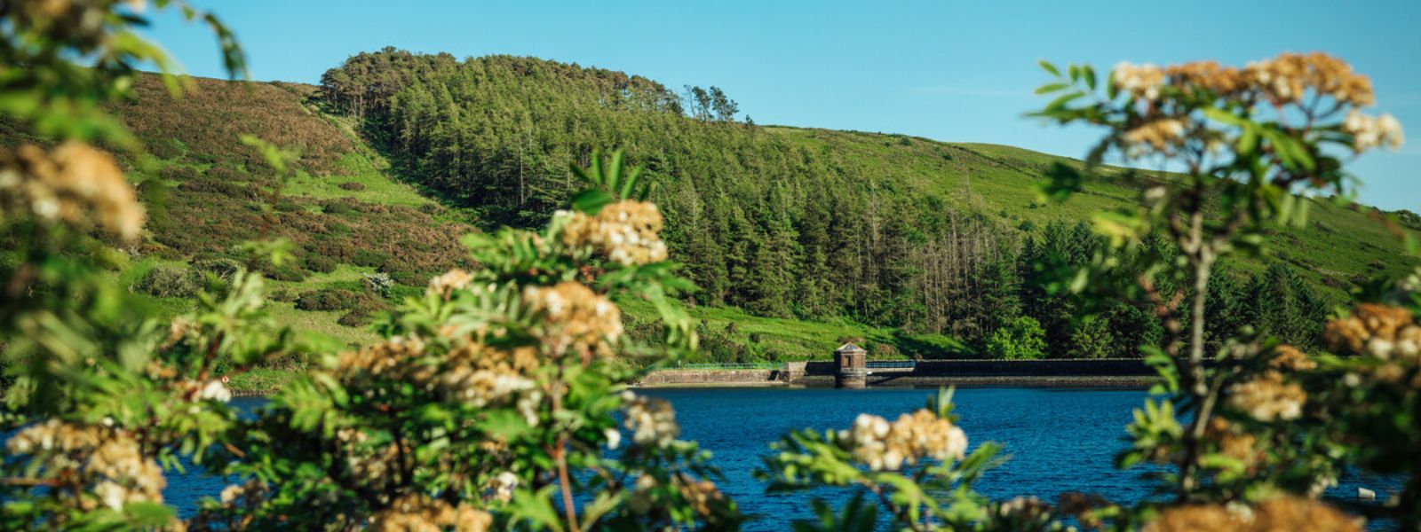 Sulby Reservoir